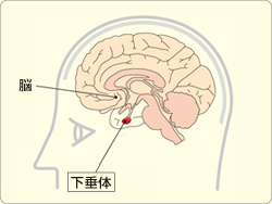 20180626134239
